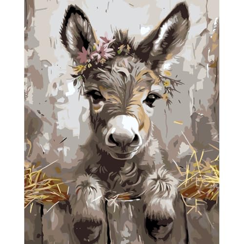 AALBLAC Paint by Numbers for Adult, Donkey Paint by Numbers Kit for Adults Beginners, DIY Animal Acrylic Painting on Canvas for Home Wall Art Decor 16x20 Inch - color: Donkey-40X50