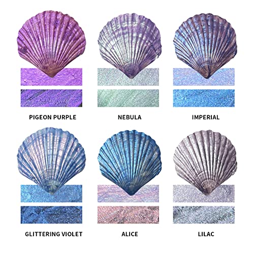 Metallic Acrylic Paint Set,2 Ounces x 6 Assorted Colors, Iridescent Purple and Blue Ink Pigment Non-Fading, Rich Vivid Pigments, Brilliant Glitter Finish, Fast Dry Formula(Seine Night) - color: Seine Night