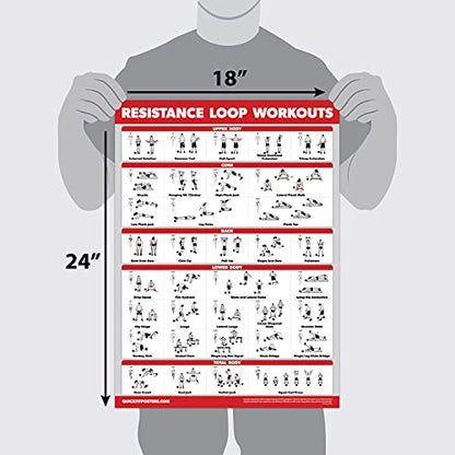 QUICKFIT Resistance Loop Bands Workout Poster - LAMINATED - Exercise Chart for Resistance Band Loops - 18" x 24" - color: LAMINATED