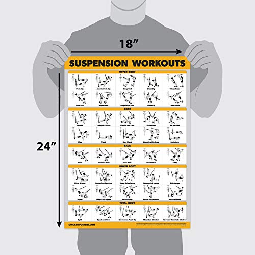 Palace Learning 4 Pack - Suspension Workout Posters Volume 1, 2 & 3 + Bodyweight Exercise Chart - Set of 4 Posters (LAMINATED, 18" x 24") - color: LAMINATED