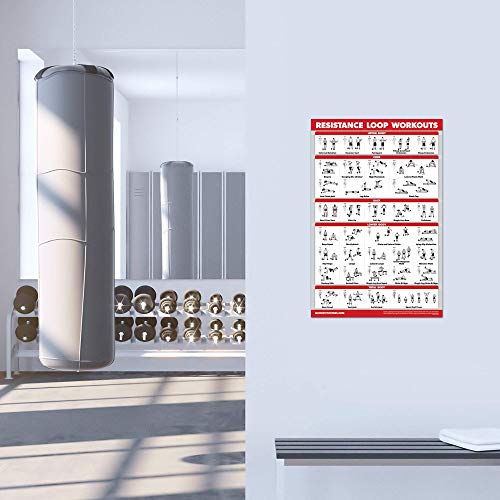 QUICKFIT Resistance Loop Bands Workout Poster - LAMINATED - Exercise Chart for Resistance Band Loops - 18" x 24" - color: LAMINATED