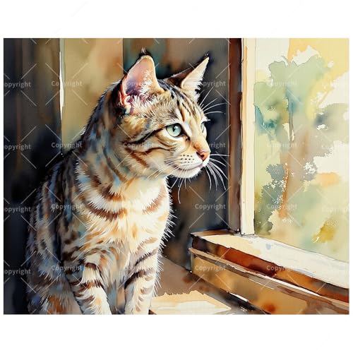Window Gazing Cat Paint by Numbers Kit for Adults - DIY Tabby Cat Looking Outside Painting on Canvas 16x20 Inches, Acrylic Paint Set, Suitable for Beginners,Pet Art for Home Decoration/Gifts - color: FM04722, size: 40×50cm Unframed