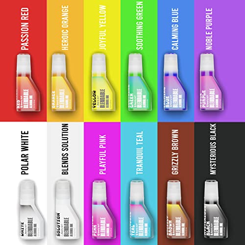 Bearly Art Alcohol Ink Classic Collection Rainbow Set 0.5 fl oz Each | 12 acid safe blendable alcohol inks and blending solution for vibrant designs on paper, resin and mixed media surfaces