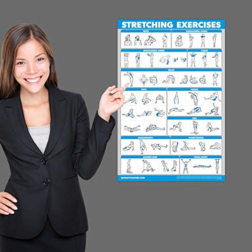 Palace Learning 4 Pack - Dumbbell Workouts + Bodyweight Workouts + Stretching Exercises + Pilates - Set of 4 Workout Charts (18” x 24”, LAMINATED)