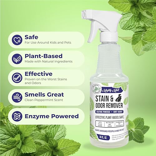Mighty Mint Stain & Odor Remover, Natural Enzyme Spray Safely Neutralizes Odor and Stains from Dogs, Cats on Carpet, Furniture, Natural Peppermint Scent, 16oz