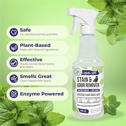 Mighty Mint Stain & Odor Remover, Natural Enzyme Spray Safely Neutralizes Odor and Stains from Dogs, Cats on Carpet, Furniture, Natural Peppermint Scent, 16oz