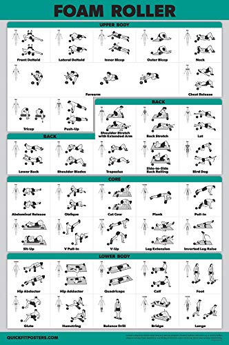 Palace Learning Foam Roller Exercise Poster - Stretching and Workout Routine for Foam Roller (Laminated, 18" x 24")