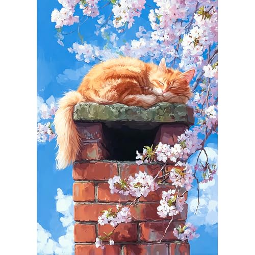 EOBROMD Diamond Art Painting Kits for Adults Sleeping Kitten, Animal 5D Full Drill Diamond Dots, DIY Painting Kits for Adults Beginners, Gem Art and Crafts for Home Wall Decor 12x16inch - color: 14-Sleeping Kitten
