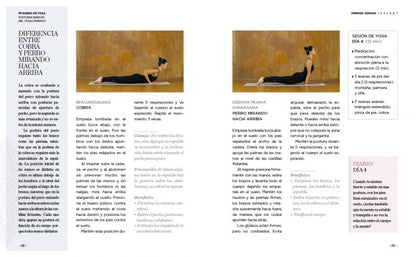 Mi diario de yoga. Cuerpo y mente sanos en 4 semanas (Edición revisada y actualizada / My Yoga Diary (Spanish Edition)