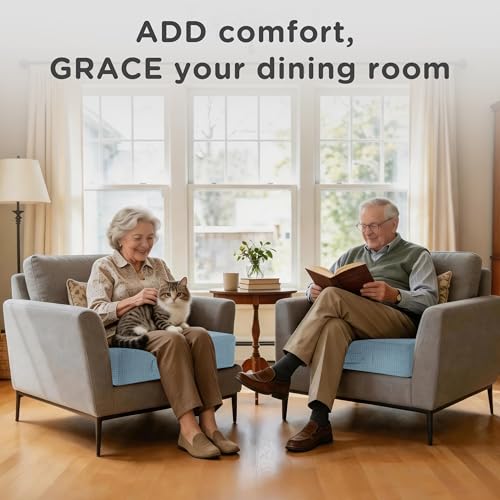 AddGrace High Density Recliner Cushion for Elderly 20x20in Blue - color: Dusty Blue