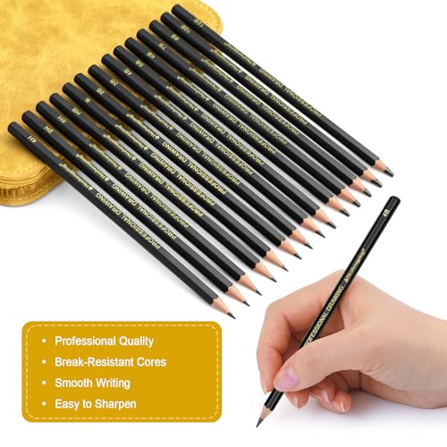 Heshengping Sketching and Drawing Pencils Set 26pcs, Art Supplies Drawing pencil Kit,Graphite Charcoal Professional Pencils Set, Adults Beginners Artist - style: 26 Pack Sketching Pencils Yellow