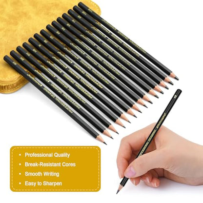 Heshengping Sketching and Drawing Pencils Set 26pcs, Art Supplies Drawing pencil Kit,Graphite Charcoal Professional Pencils Set, Adults Beginners Artist - style: 26 Pack Sketching Pencils Yellow