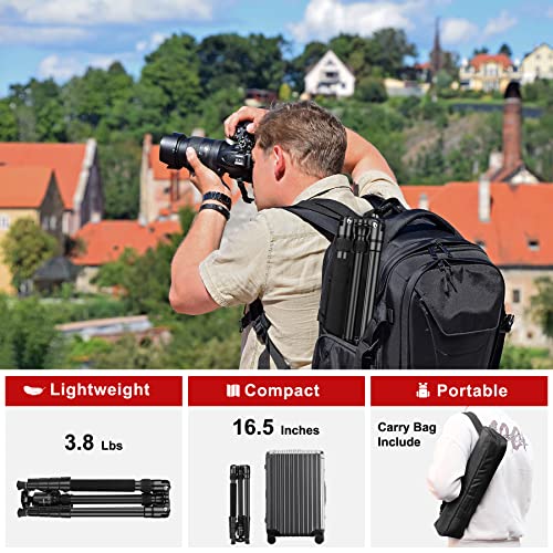 JOILCAN Tripod for Camera, 81" Camera Tripod Stand, 83 inches DSLR Tripods & Monopods, Heavy Duty Travel Tripod for Binoculars Laser Level Spotting Scope Telescope, Max Load 35lb - color: Black
