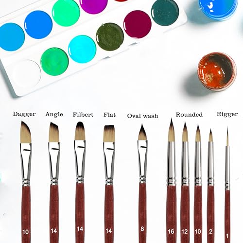 Sdanart Watercolor Brushes Professional，10 PCS Artist Paint Brush Shapes | Shape Including Pointed Rounds, Flats，Filbert，Cat's Tongue Oval Wash，Dagger，Suitable for Acrylics Water Color Oil Gouache Ink