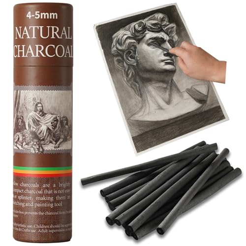 25 PCS Willow Charcoal Sticks, Ideal for Artists, Beginners, Students, Perfect for Sketching, Drawing, Shading, and Fine Art, 5.7 Inches Long, 2-4,4-5,5-7,7-9 (4-5) - style: 4-5