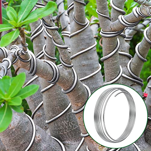 Pelopy Aluminum Armature Wire Bendable Sculpting, Silver, 1/4 Inch,40 Ft | Thick Metal Wire for Dolls and Floral Designs, Jewelry Making and Weaving Crafts, Holds Shape Well for Art Projects - size: 1/4 Inch,40 ft