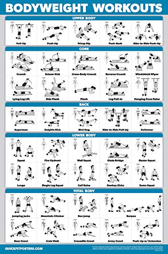 Palace Learning 4 Pack - Suspension Workout Posters Volume 1, 2 & 3 + Bodyweight Exercise Chart - Set of 4 Posters (LAMINATED, 18" x 24") - color: LAMINATED