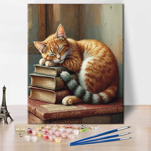 TUMOVO Paint by Numbers Kit for Adults A Cat Dozing Next to a Book | cat art on 16x20 inch unframed canvas with acrylic paints and 3 brushes, relaxing DIY craft and wall decor. - color: Cat