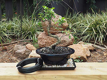Anodized Aluminum 4.0mm Bonsai Training Wire 250g Large Roll (23 feet) - Choose Your Size and Color (4.0mm, Black) - color: Black, size: 4.0mm
