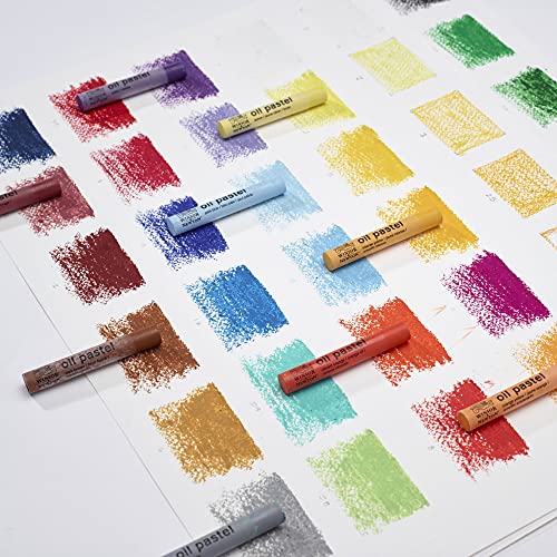 Winsor & Newton Professional Oil Pastels, Set of 15 | Highly pigmented colors with rich consistency, Versatile, perfect for expressive medium use - style: Set of 15