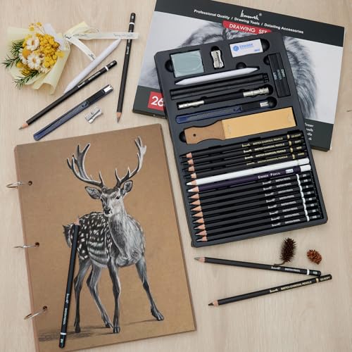 Brusarth Charcoal Pencils for Drawing, Graphite Pencils (10B-2H), 26 Pcs | Drawing Sketching Pencil Set for Sketching, Shading, Blending, Artist Pencils for Beginners & Pro Artists