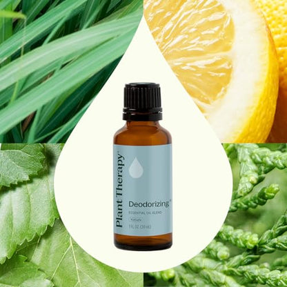 Plant Therapy Deodorizing Essential Oil Blend 30 mL (1 oz) Pure & Undiluted | Pure Essential Oil Blend, Great for Diffusers, Shoes, Gym Bags, and DIY Cleaning Solutions - size: 1 Fl Oz (Pack of 1)