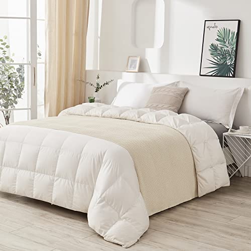 Longhui bedding 100% 면 니트 담요 - 크림, 부드럽고 아늑함, 세탁기 사용 가능, 152.4cm x 203.2cm(60 x 80인치) - 거실, 소파, 침대 또는 여행에 적합 - color: 크림, size: 60" x 80", Oversized