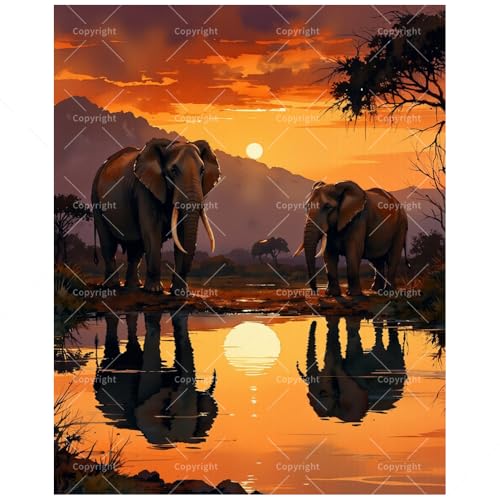 African Animal Paint by Numbers Kit for Adults - DIY Elephants by Sunset Water Reflection Painting on Canvas 16x20in, Acrylic Paint Set, Suitable for Beginners, Art for Home Decoration/Gifts - color: FM05886, size: 40×50cm Unframed
