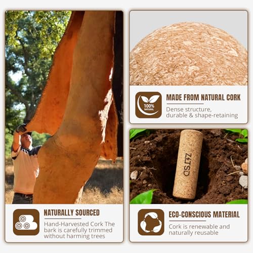 Foot & Ankle Strengthener Kit, 4-in-1 Cork Balance Board Set