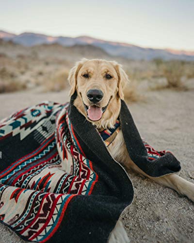 Inca Aztec Throw, Queen, King Blanket | Southwest Indian Navajo Boho Style | Native Cover for Camping, Bedding, Couch, Vanlife | Faux Alpaca, Lightweight, Hypoallergenic (Pachamama Brown, Queen) - color: Pachamama Brown, size: Queen