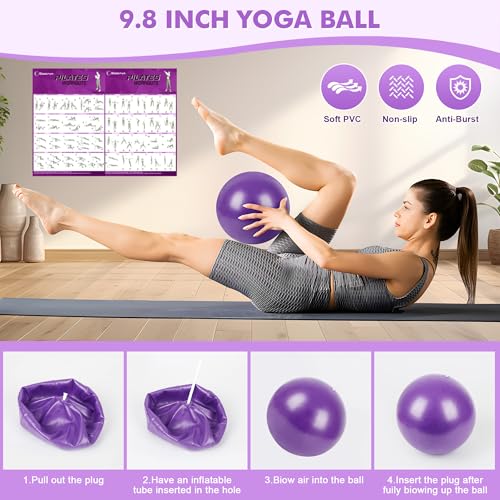 Goocrun Pilates Ring Set Exercise Equipment, with Exercise Resistance Bands Set, Pilates Ball, Sliding Disks. Portable Home Gym - with Fitness Guide Poster - color: Purple, size: Mid-level