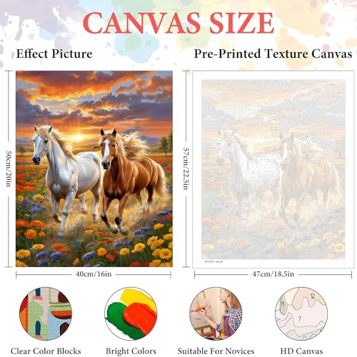 cviokrdu Horse Paint by Numbers for Adults-Horse Paint by Number on Canvas Without Frame, DIY Animal Oil Painting for Gift Home Wall Decor (16x20inch) - color: MT20931
