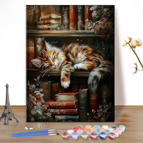 EOBROMD Paint by Numbers Kits for Adults Sleepy Cat, DIY Kits Crafts for Beginner on Canvas, 3 Brushes and Acrylic Paint for Home Decor 16x20inch(Without Frame) - color: 07-Sleepy Cat