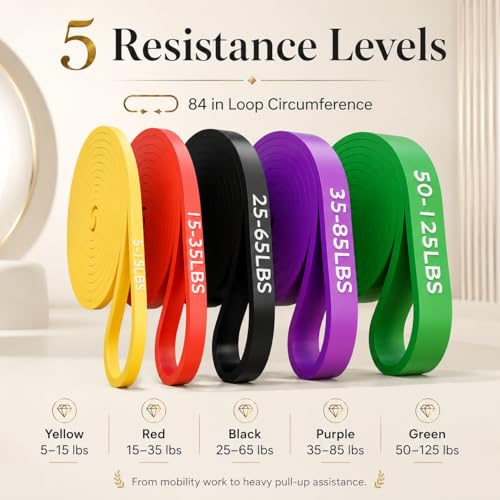 Pull Up Assistance Bands, Resistance Bands Set of 5 for Working Out, Pull Up Bands for Men & Women, Heavy Duty Exercise Bands for Strength Training, Stretching, Physical Therapy, Home Gym Workouts