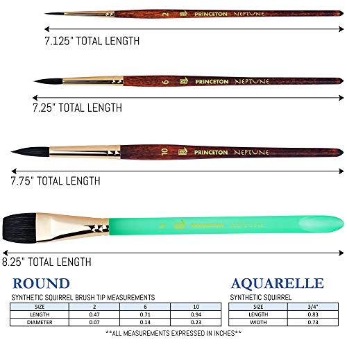 Princeton Neptune 4750 Series Watercolor Brush Set – Watercolor Brushes Professional Soft Synthetic Squirrel Hair – Artist Water Paint Brush Set – 1pc Aquarelle 3/4" & 3 Round Brushes (Sizes 2, 6, 10)