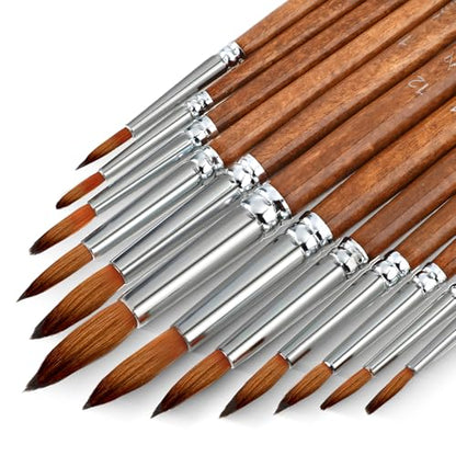 12 Pack Watercolor Brushes Professional Watercolor Painting Brushes Round Paint Brushes Detail Paint Brushes for Acrylics Gouache Oil