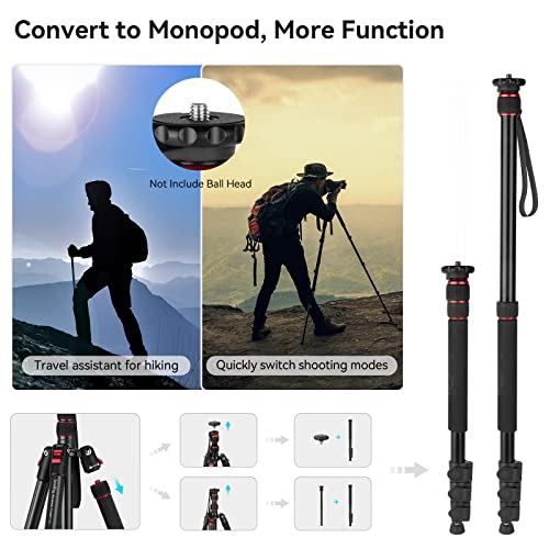 SmallRig T-10 68" Foldable Aluminum Camera Tripod/Monopod | Max. Payload 33lb, Height Adjustable from 19.7" to 67.7", Works With Cameras and Phones.