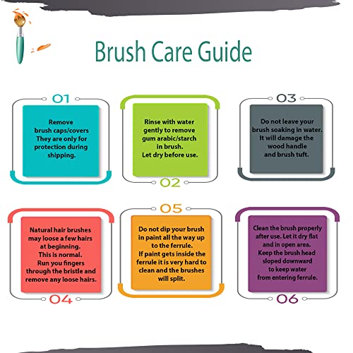 ZEM Brush White Hog Bristle Synthetic Combo Rounds, Flat, Filbert, Angle, Liner Artist Brush Set 6 pcs | Acrylic and Oil