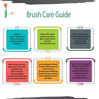 ZEM Brush White Hog Bristle Synthetic Combo Rounds, Flat, Filbert, Angle, Liner Artist Brush Set 6 pcs | Acrylic and Oil