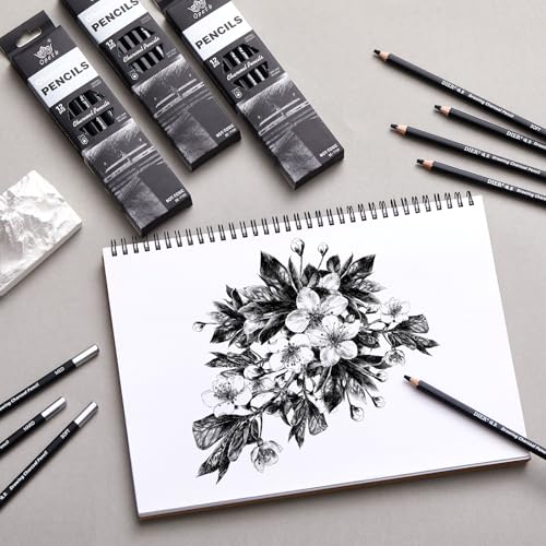 Geyoga 72 Pcs Professional Charcoal Pencils Bulk Soft Medium Hard for Drawing Charcoal Pencils for Art Painting Sketching Shading Drawing Blending Portrait Artists Students Christmas Stocking Gifts