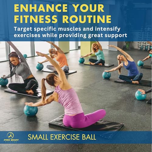 ProBody Pilates Ball Small with Pump - 9 Inch Small Exercise Ball - color: Indigo
