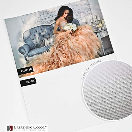 Premium Lyve Matte Canvas Sheets Professionals choice for Archival Inkjet for Use on Epson, Canon and HP printers. 17 inch x 22 inch 25sh - size: sheets-17in-x-22in-25sh