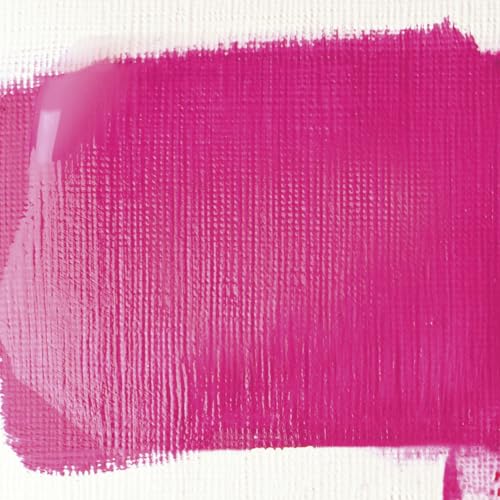 Liquitex BASICS Gloss Varnish, 250ml (8.4oz) Bottle | Adds Gloss Sheen, Dries to Clear, Flexible Non-Tacky Hard Surface, Increases Brightness, Protects Colors from UV Damage - style: Gloss Varnish