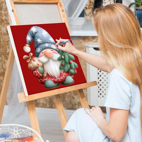 Bowetile 4 Pack Framed Paint by Numbers Christmas for Adults, Gnome Paint by Numbers for Kids Ages 8-12 on Canvas, Easy Acrylic Cartoon Number Painting Christmas Gifts for Home Wall Decor, 8x8in - color: Gnome-Red