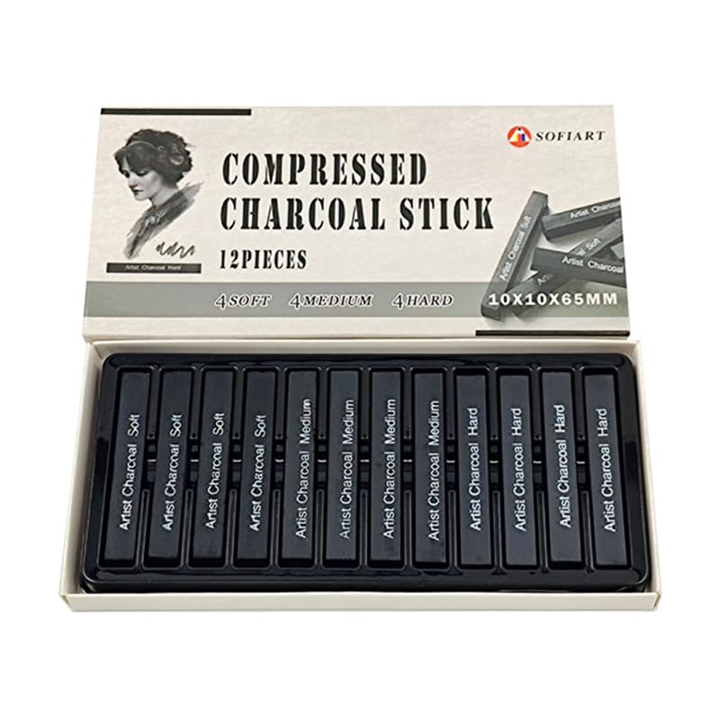 Charcoal sticks for artist