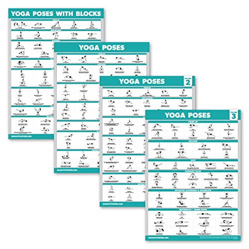 Palace Learning 4 Pack - Yoga Poses Poster Volume 1, 2 & 3 + Yoga Positions with Yoga Blocks - Beginner Yoga Position Exercise Charts - English and Sanskrit Names