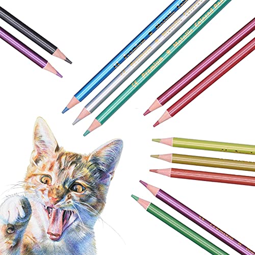 Zerodis 12Pcs Set, Metallic Fluorescent Professional Coloring Pencil Art Colored Pencils Sketch Graffiti Painting Supplies for Adults and Kids(Metal Color Pencils) - color: Metal Color Pencils