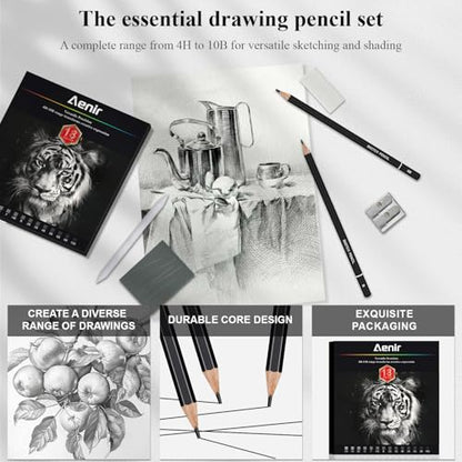 Aenir Sketch Pencils for Drawing, Drawing Pencils Set of 18, 10B–4H Graphite Pencil, Vinyl Eraser, Kneaded Eraser, Sharpener, Blending Stump,Sketch Set for Artists, Art Supplies. - size: 18 Pcs Graphite Pencils Set
