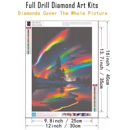 WPYTNM DIY Dreamy Sunset Landscape Full Diamond Gemstone Art Painting Set for Adults, 5D Starry Sky Aurora Lake Diamond Painting Set Suitable for Beginners, Home Wall Decoration, 12 x 16 inches - color: 5D Starry Sky Aurora Lake