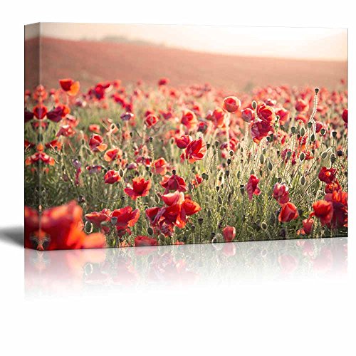Canvas Prints Wall Art - Beautiful Landscape Image of Summer Poppy Field Under Stuning Sunset Sky with Cross Processed Retro Effect - 12" x 18" - color: Ballerina Feet, size: 18"L x 12"W